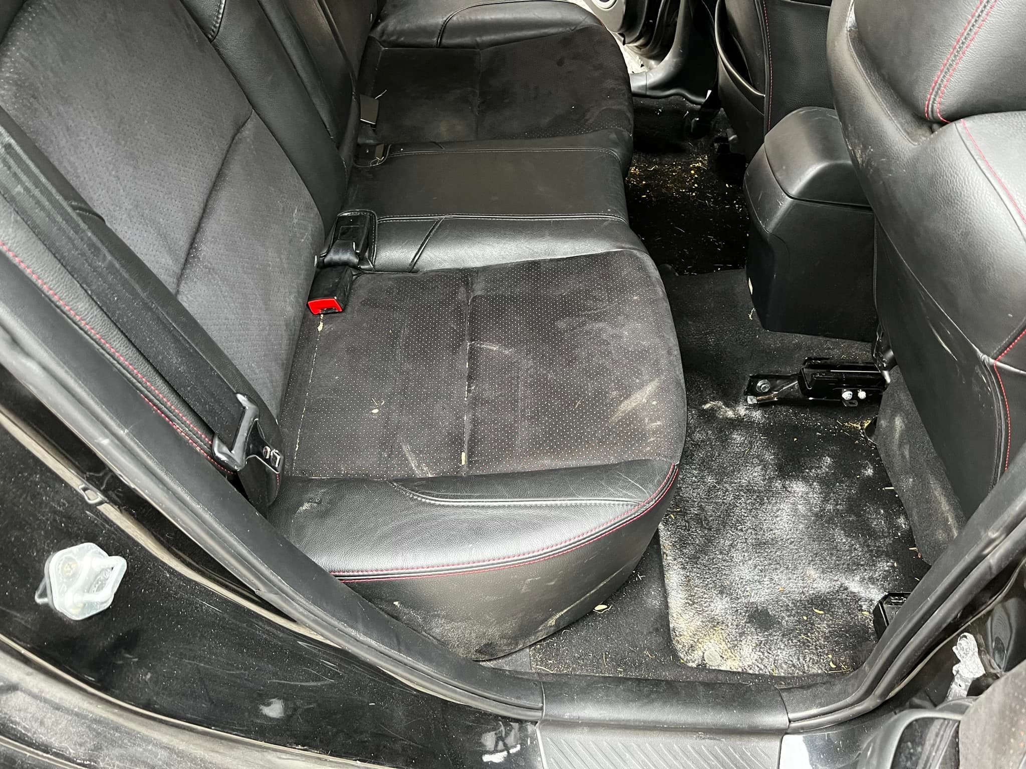 Daily driver — interior stains — before