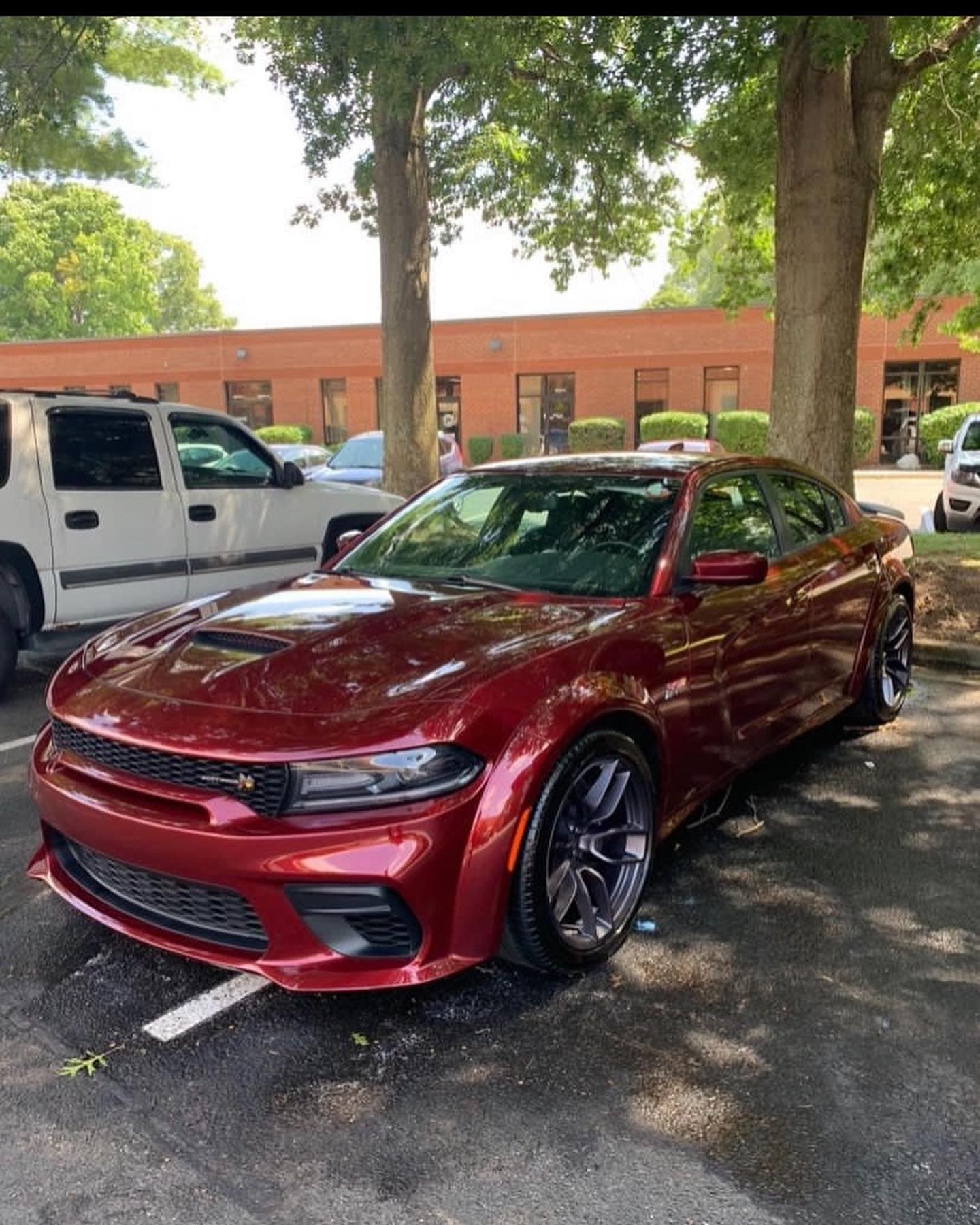 Ceramic Coating vs PPF: Which Paint Protection Wins?