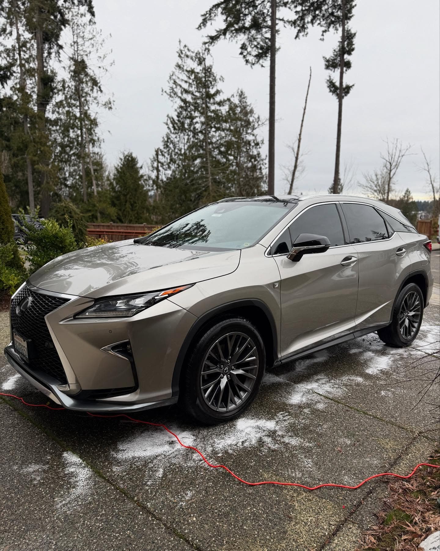 How Pollen Damages Your Car and How to Remove It