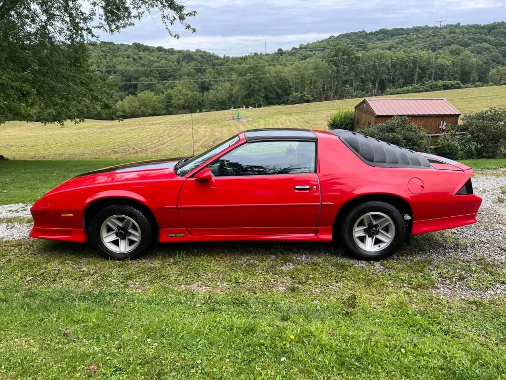 Sport coupe — compound & gloss after